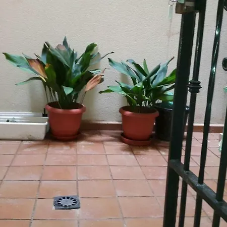 Appartement Sol Todo El Ano En *